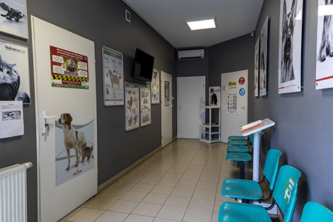 Weterynaria Pabianice - gabinet - galeria