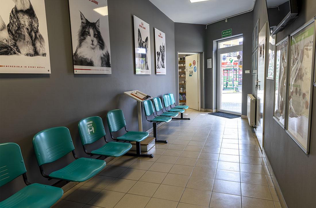 Weterynaria Pabianice - gabinet - galeria