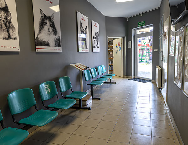 Weterynaria Pabianice - gabinet - galeria