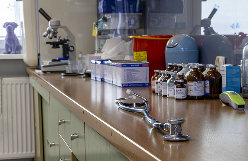 Weterynaria Pabianice - gabinet - galeria