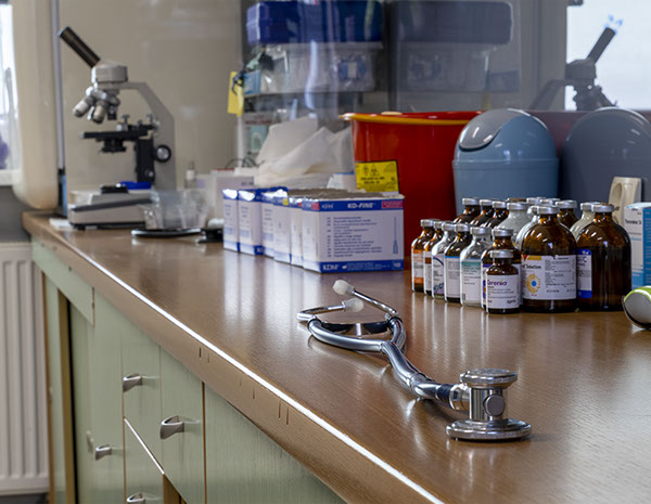 Weterynaria Pabianice - gabinet - galeria