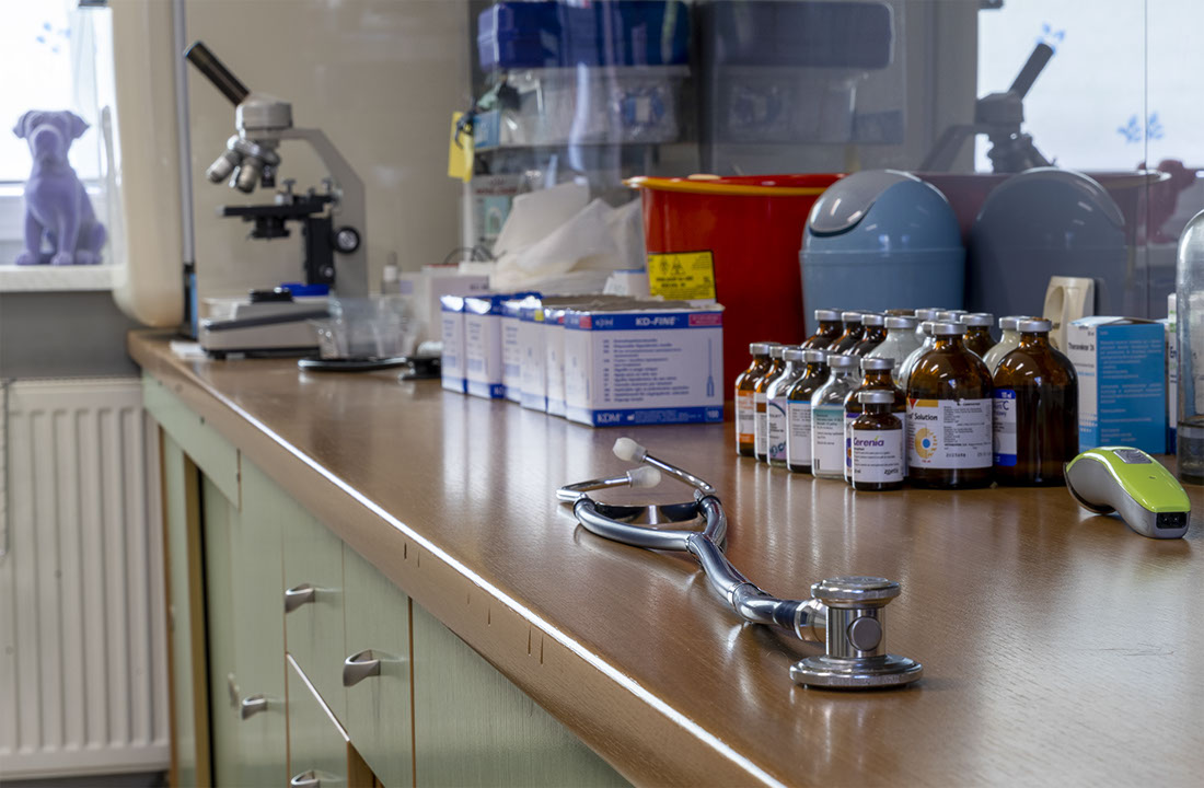 Weterynaria Pabianice - gabinet - galeria