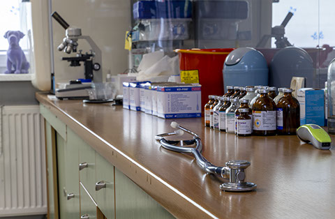 Weterynaria Pabianice - gabinet - galeria