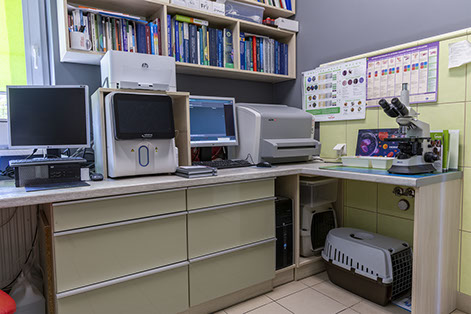 Weterynaria Pabianice - gabinet - galeria