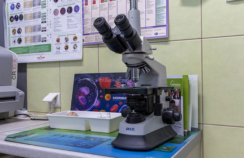 Weterynaria Pabianice - gabinet - galeria