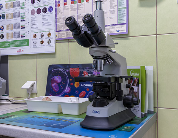 Weterynaria Pabianice - gabinet - galeria