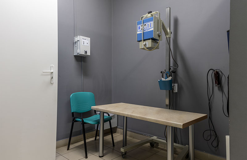 Weterynaria Pabianice - gabinet - galeria