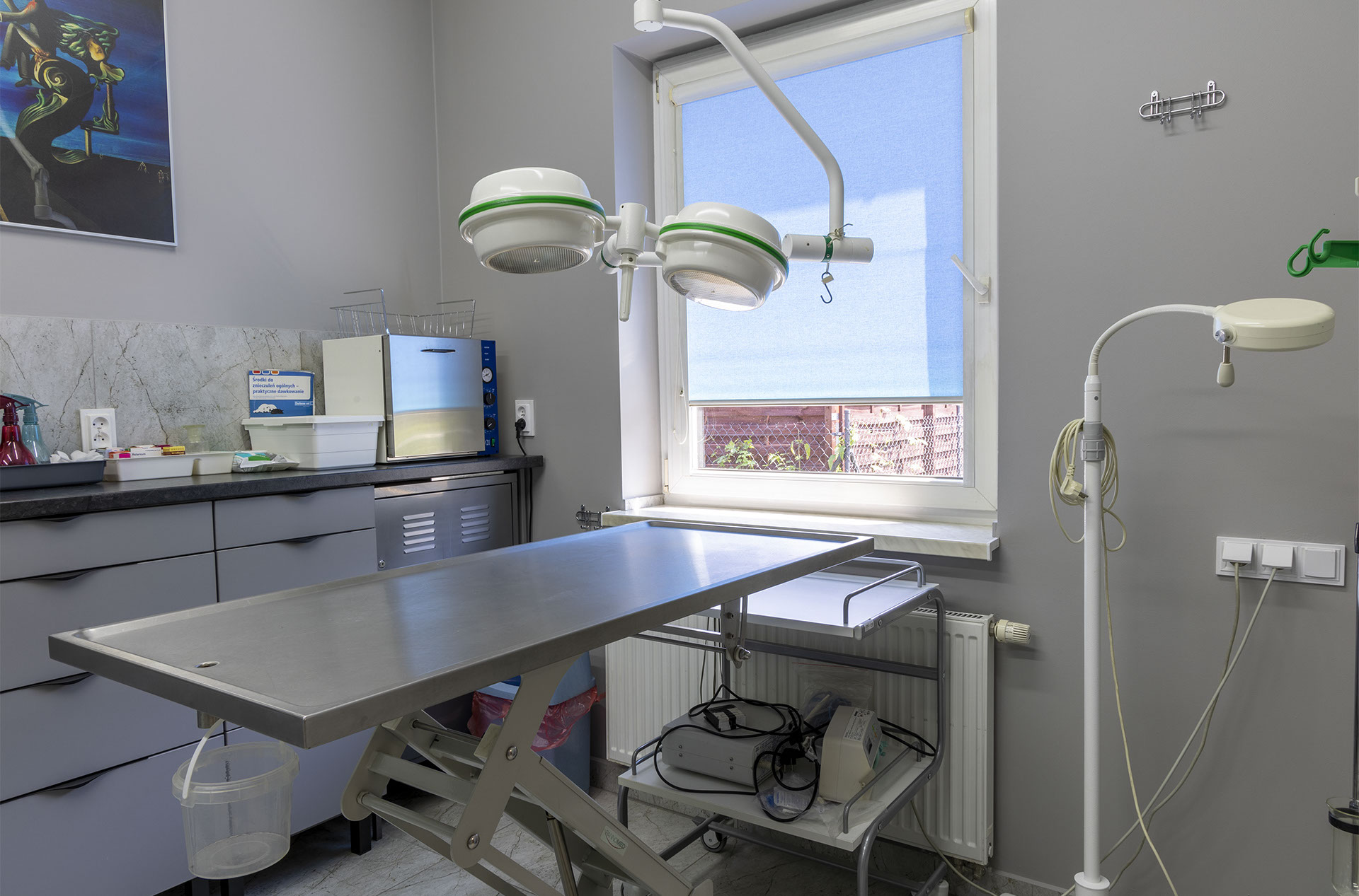 Weterynaria Pabianice - gabinet - galeria