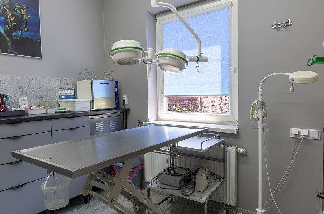 Weterynaria Pabianice - gabinet - galeria