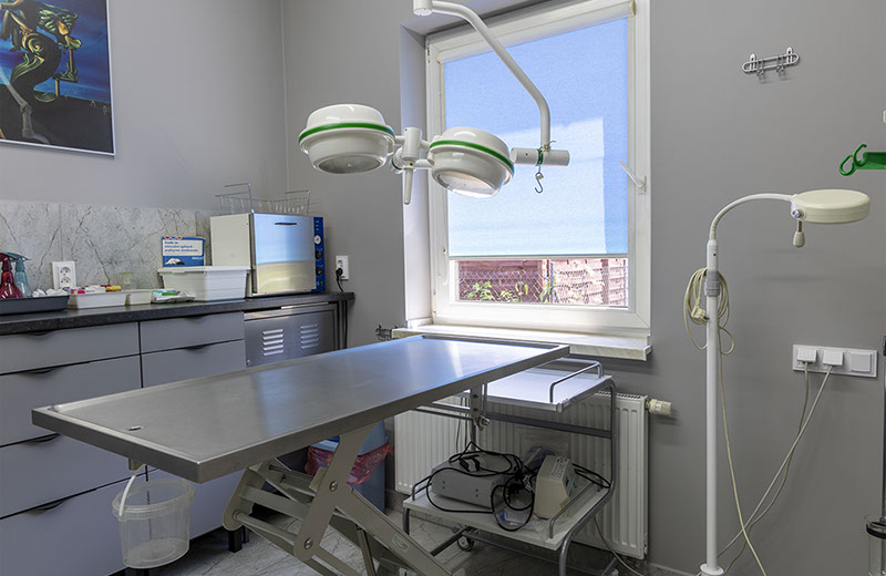 Weterynaria Pabianice - gabinet - galeria